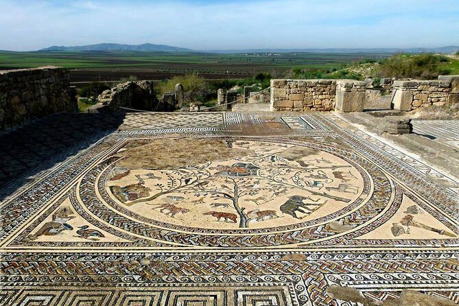Volubilis, Moulay Idriss and Meknes Day Trip From Fes - Tour Inclusions and Benefits