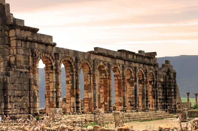 Volubilis, Moulay Idriss and Meknes Day Trip From Fes - Pricing and Availability Details