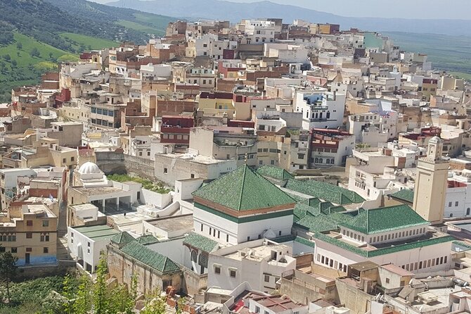 Volubilis, Moulay Idriss and Meknes Day Trip From Fes - Accessibility Information