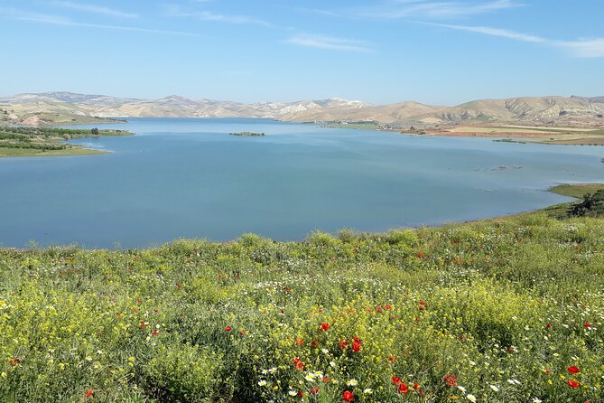 Volubilis, Moulay Idriss and Meknes Day Trip From Fez - Experiencing Moroccan Cultural Highlights