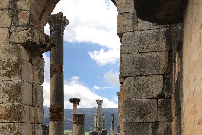 Volubilis, Moulay Idriss and Meknes Day Trip From Fez - Exploring at Your Own Pace