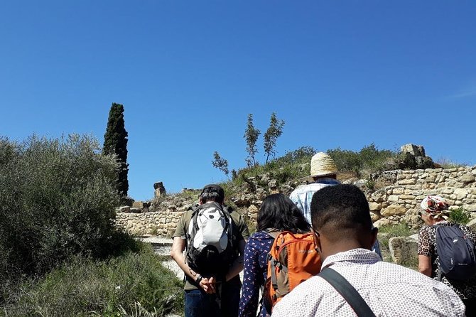 Volubilis, Moulay Idriss, and Meknes Tour - Visiting Moulay Idriss