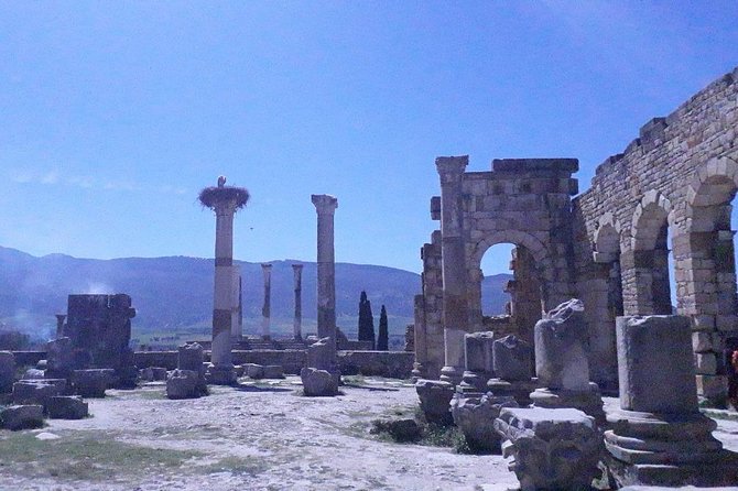 Volubilis, Moulay Idriss, and Meknes Tour - Discovering Meknes