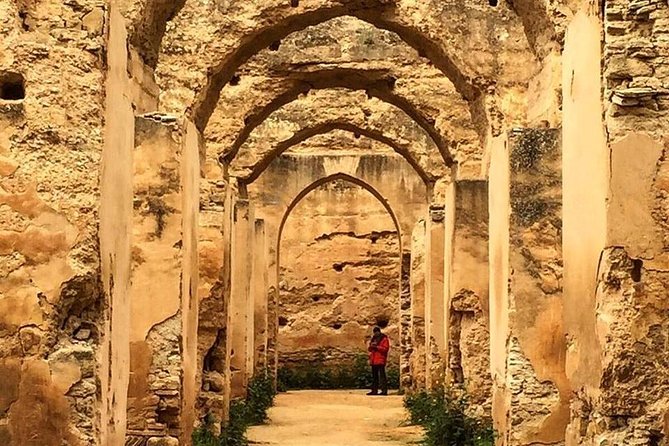 Volubilis, Moulay Idriss & Meknes Excursion From Fez - Inclusions and Additional Information