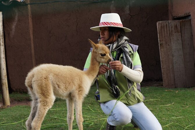 Voluntering at the Cochahuasi Sanctuary - Volunteer Responsibilities