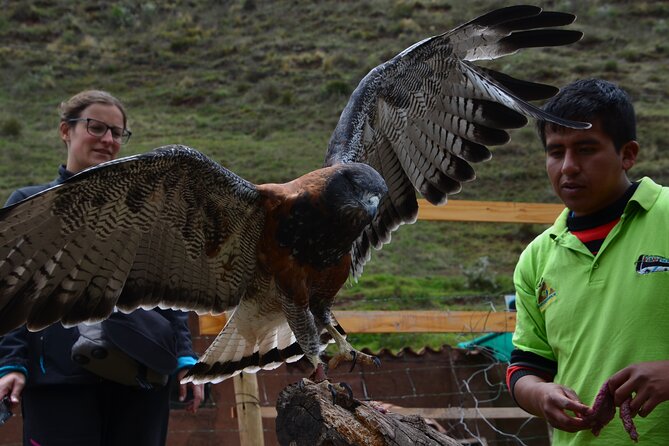 Voluntering at the Cochahuasi Sanctuary - Meals and Accommodations