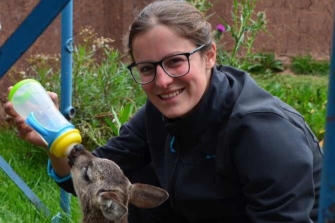 Voluntering at the Cochahuasi Sanctuary - Booking and Pricing