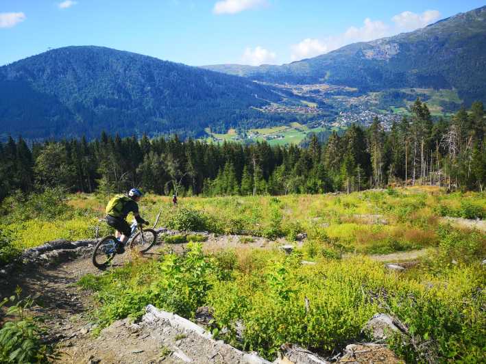 Voss - Mountain Bike – Bømoem Forest - Key Points