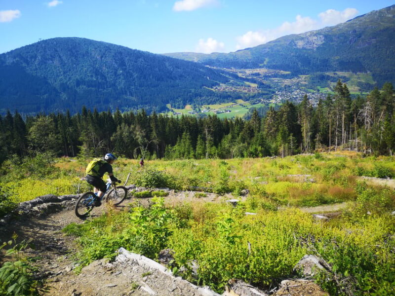 Voss - Mountain Bike – Bømoem Forest - Inclusions