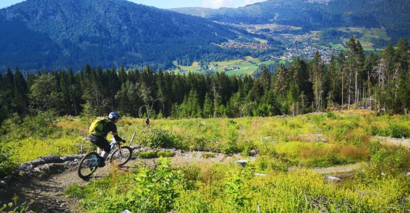 Voss - Mountain Bike – Bømoem Forest - Guided Expertise