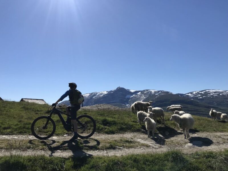 Voss - Mountain Bike - Grand Travese - Mountain Biking Excursion