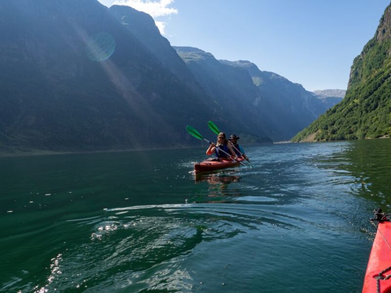 Vossevangen: Nærøyfjord Full-Day Guided Kayaking Trip - Key Points