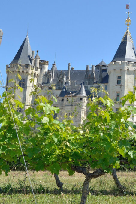 Vouvray Wine Half-Day Tour From Tours - Tour Duration