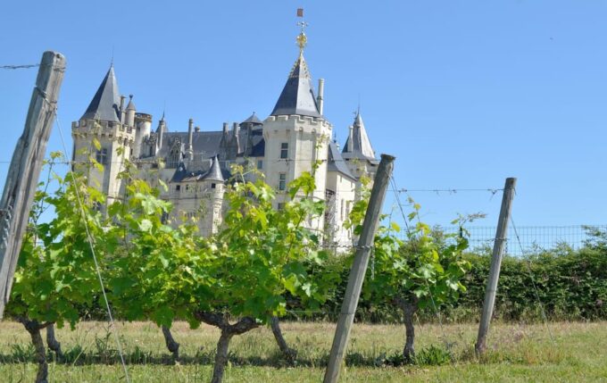Vouvray Wine Half-Day Tour From Tours - Frequently Asked Questions