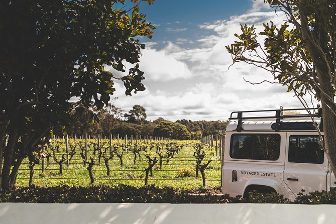 Voyager Estate: Estate Tour & Lunch - Tour Meeting Point