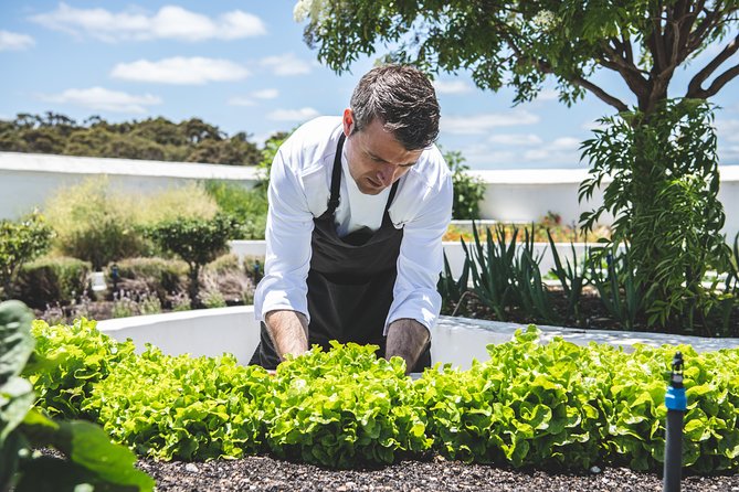 Voyager Estate: Estate Tour & Lunch - Guest Reviews and Ratings