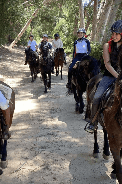Vrede En Lust Wine Estate: 1H Breakfast Horse Trail - Key Points