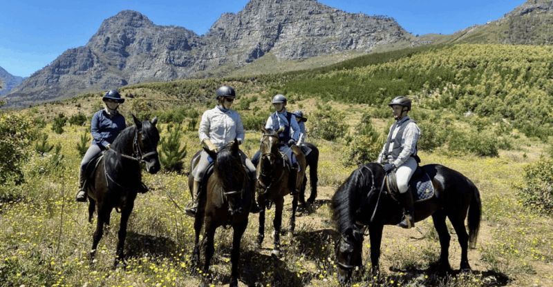 Vrede En Lust Wine Estate: 1H Breakfast Horse Trail - Lust Bistro & Bakery