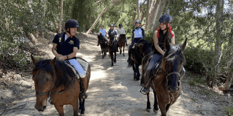 Vrede En Lust Wine Estate: 1H Breakfast Horse Trail - Participant Restrictions