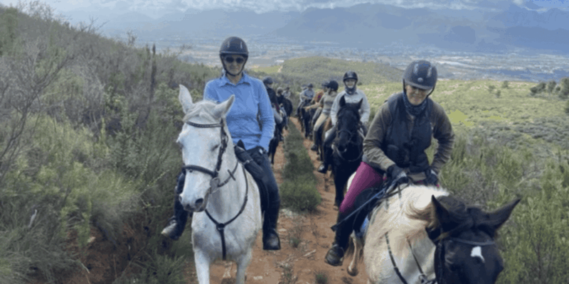Vrede En Lust Wine Estate: 1H Breakfast Horse Trail - What to Bring