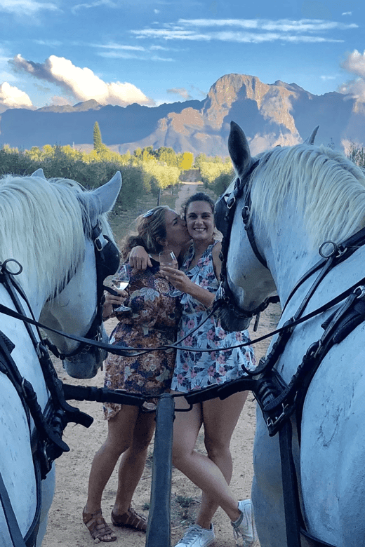 Vrede En Lust Wine Estate: 1H30M Carriage Ride & Wine Taste - Experience Highlights