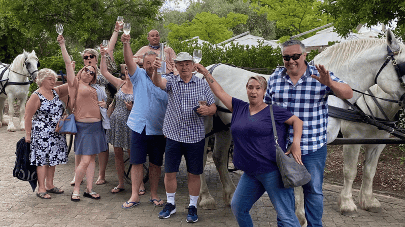Vrede En Lust Wine Estate: 1H30M Carriage Ride & Wine Taste - Inclusions and Requirements