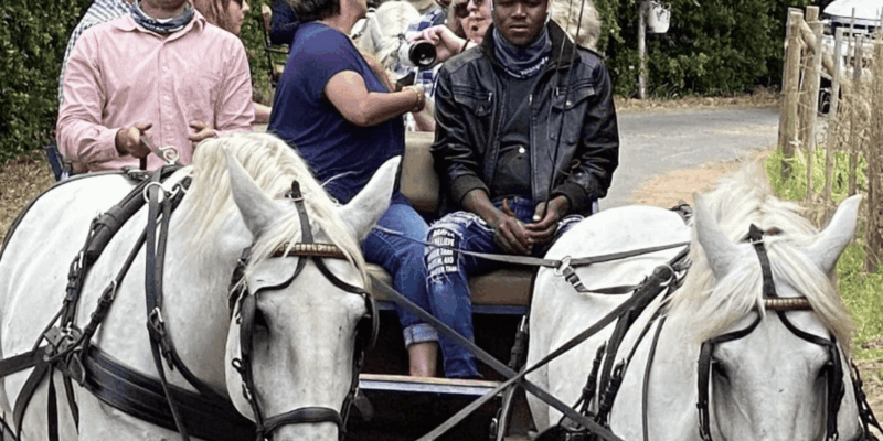 Vrede En Lust Wine Estate: 1H30M Carriage Ride & Wine Taste - Important Information