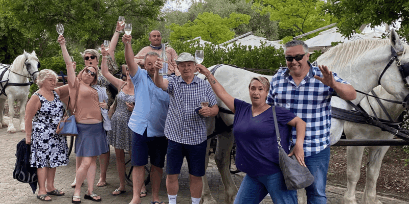 Vrede En Lust Wine Estate: 1H30M Carriage Ride & Wine Taste - Participant Guidelines