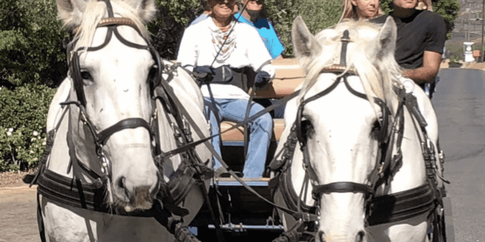 Vrede En Lust Wine Estate: 1H30M Carriage Ride & Wine Taste - Pricing and Availability