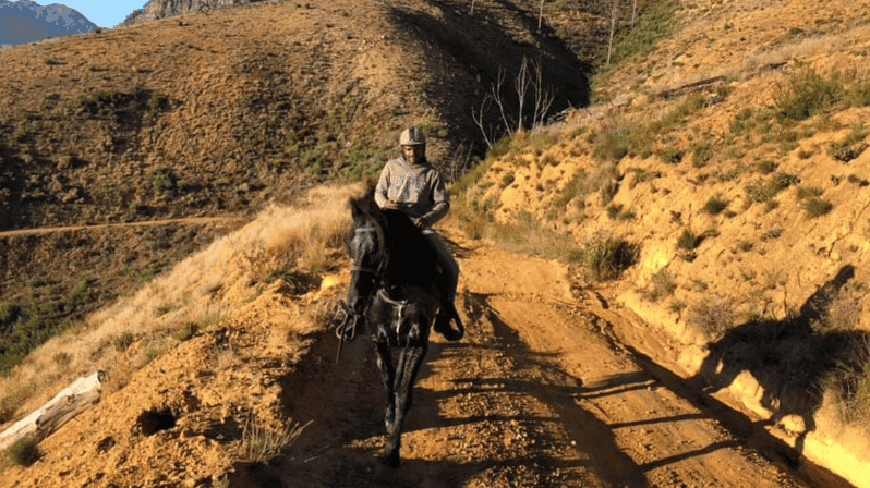 Vrede En Lust Wine Estate: 1h30m Horse Trail Ride - Key Points