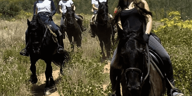 Vrede En Lust Wine Estate: 1h30m Horse Trail Ride - Experience Highlights