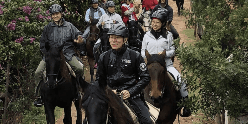 Vrede En Lust Wine Estate: 1h30m Horse Trail Ride - What to Bring