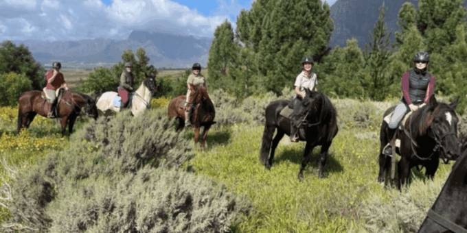 Vrede En Lust Wine Estate: 1h30m Horse Trail Ride - Booking and Cancellation Policy