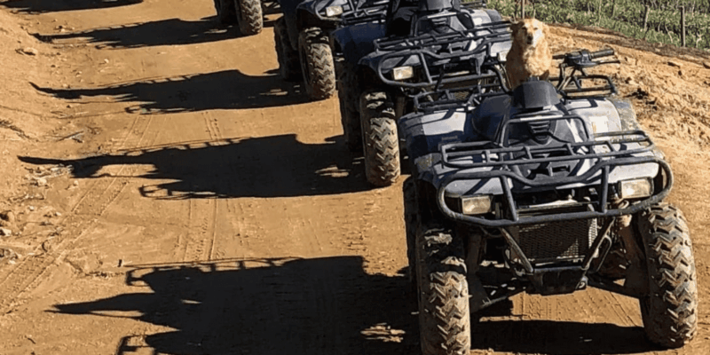 Vrede En Lust Wine Estate: 1h30m Quad Bike Trail - Safety and Restrictions