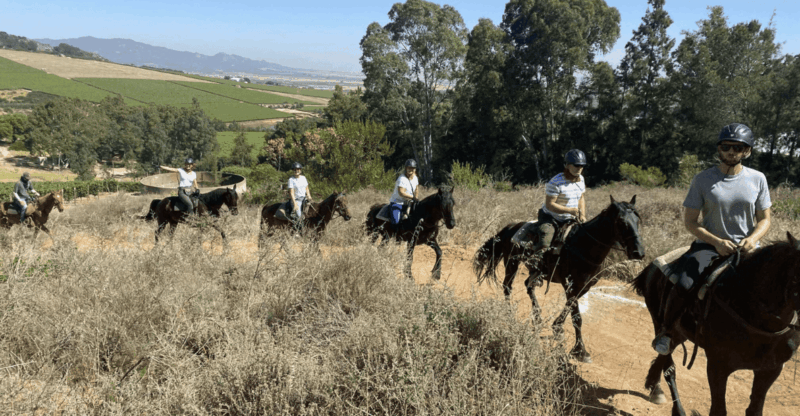 Vrede En Lust Wine Estate: 2H Horse Trail - Key Points