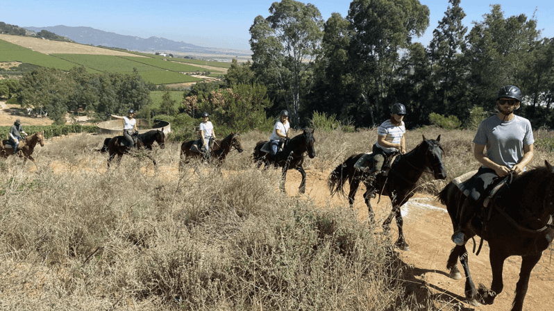 Vrede En Lust Wine Estate: 2H Horse Trail - Highlights