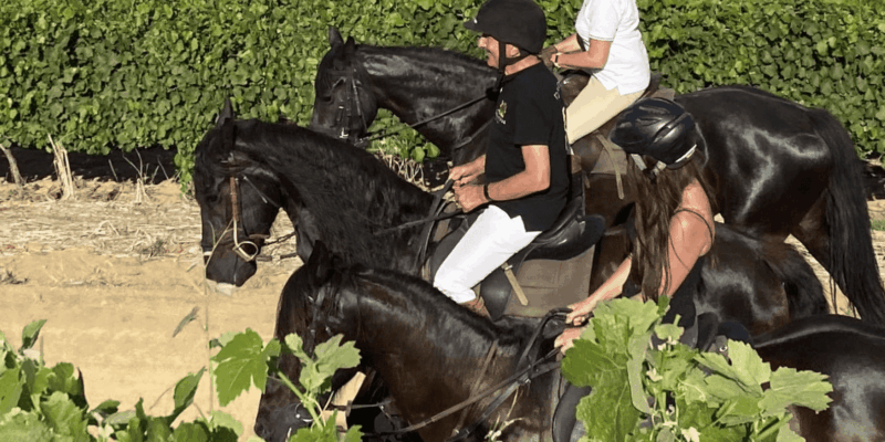 Vrede En Lust Wine Estate: 2H Horse Trail - Participant Requirements