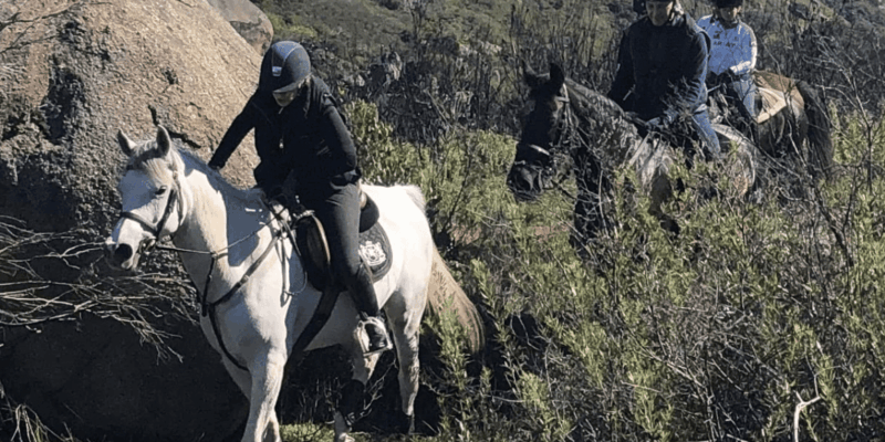 Vrede En Lust Wine Estate: 2H Horse Trail - Important Information
