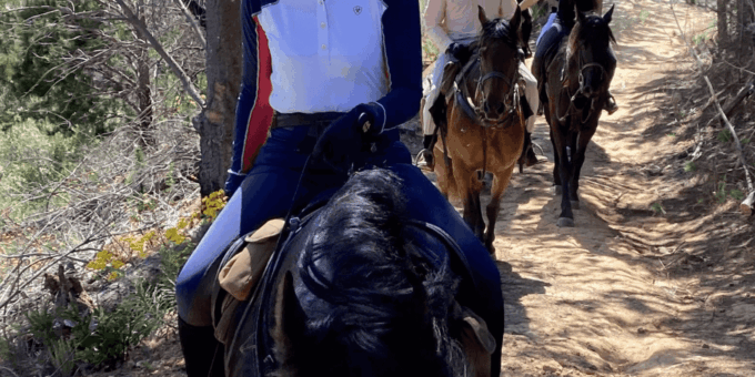 Vrede En Lust Wine Estate: 2H Horse Trail - Booking and Cancellation