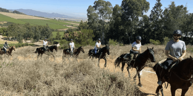 Vrede En Lust Wine Estate: 2H Horse Trail - Contact and Support