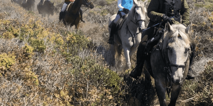 Vrede En Lust Wine Estate: 2H Horse Trail - Frequently Asked Questions