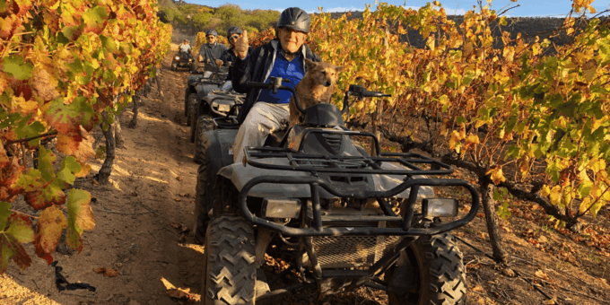 Vrede En Lust Wine Estate: 2h Quad Bike Trail - Exploring Vrede En Lust