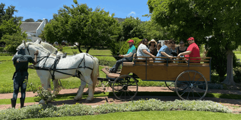Vrede En Lust Wine Estate: 30M Carriage Ride - Key Points