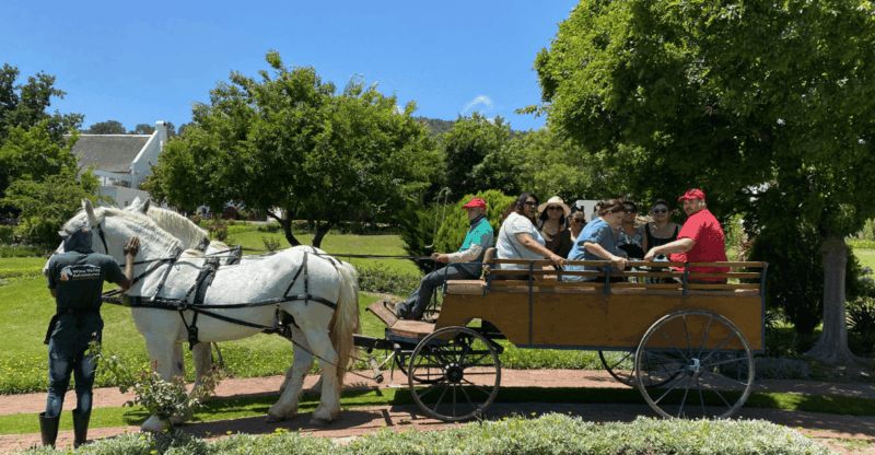 Vrede En Lust Wine Estate: 30M Carriage Ride - Duration and Tour Guide