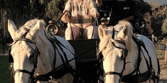 Vrede En Lust Wine Estate: 30M Carriage Ride - Frequently Asked Questions
