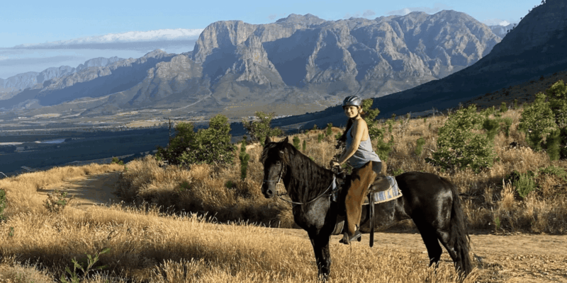 Vrede En Lust Wine Estate:1-Hour Horseback Riding Experience - Key Points