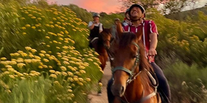 Vrede En Lust Wine Estate:1-Hour Horseback Riding Experience - Customer Feedback
