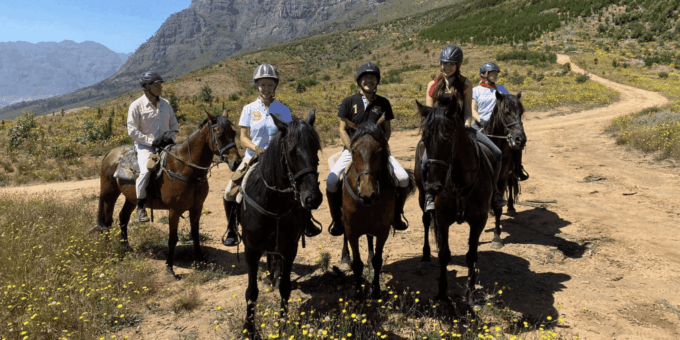 Vrede En Lust Wine Estate:1-Hour Horseback Riding Experience - Directions and Location