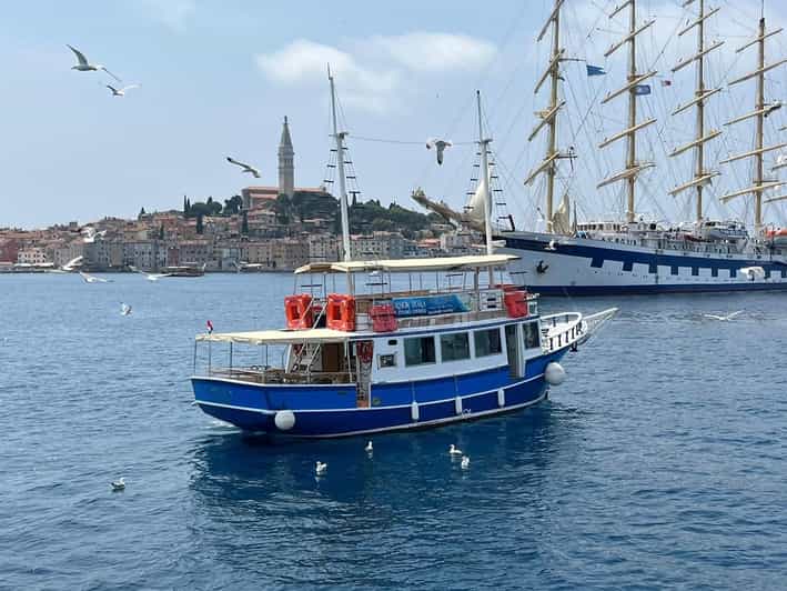 Vrsar: Dolphin Safari With Included Drinks - Included Tour Features