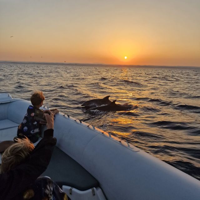 Vrsar: Dolphin Sunrise Adventure With Speedboat - Tour Duration and Location